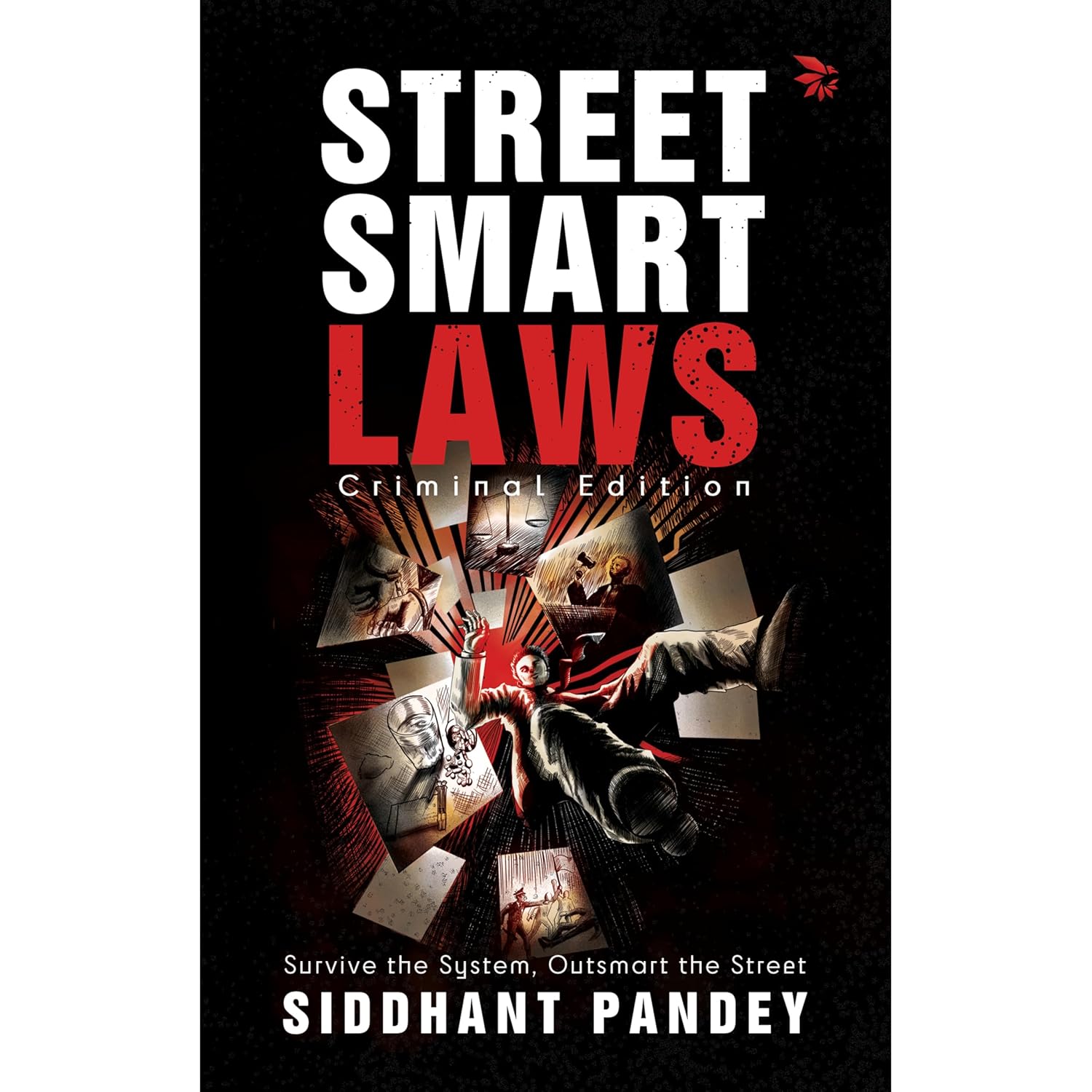 Street Smart Laws: Criminal Edition (Survive the System, Outsmart the Street)